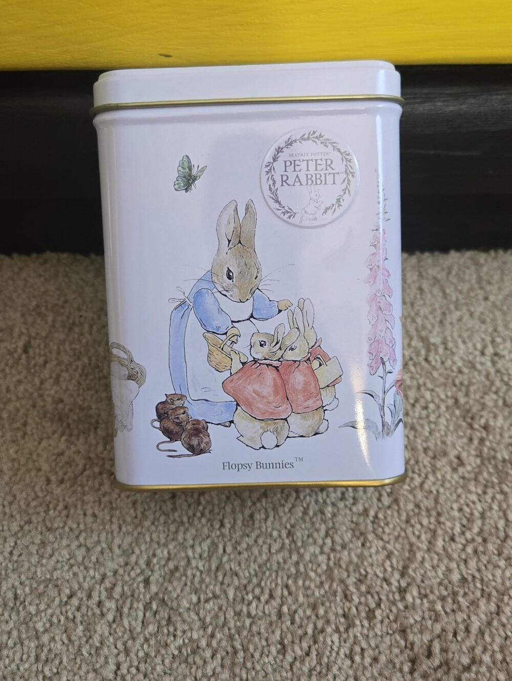 Beatrix Potter Peter Rabbit English Afternoon Tin Only Box “Flopsy Bunnies” 2020